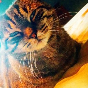 Meet your Posher, Andrew